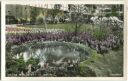 Grüne Woche 1957 - Gartenbau - Postkarte