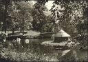 Berlin-Buch - Im Schlosspark - Foto-AK