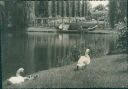 Berlin - Lietzensee