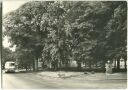Postkarte - Berlin-Müggelheim - Anger