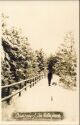 Berlin - Mariendorf - Volkspark im Schnee - Foto-AK