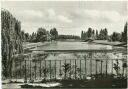 Berlin - Mariendorf - Park - Foto-AK Grossformat