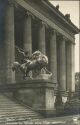 Berlin - Altes Museum - Amazone zu Pferd einen Tiger abwehrend