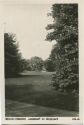 Berlin Pankow - Landschaft im Bürgerpark - Foto-AK