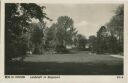 Berlin Pankow - Landschaft im Bürgerpark - Foto-AK