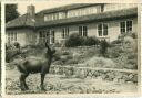 Postkarte - Berlin-Tempelhof - Gärtnerhaus