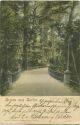 Postkarte - Gruss aus Berlin - Parthie im Thiergarten