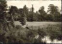 Foto-AK - Berlin - Englischer Garten mit Siegessäule 50er Jahre