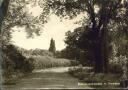 Ansichtskarte - Baumschulenweg - Plänterwald