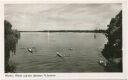 Berlin - Blick auf den Grossen Wannsee - Foto-AK