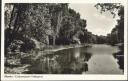 Berlin-Wilmersdorf - Volkspark - Foto-AK 50er Jahre