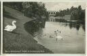 Wilmersdorf - Hindenburg-Park - Foto-Ansichtskarte