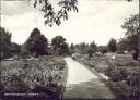 Berlin - Wilmersdorf - Volkspark - Foto-AK