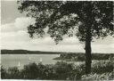 Berlin-Zehlendorf - Wannsee - Blick vom Blockhaus Nikolskoe auf die Pfaueninsel - Foto-AK