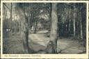 Finkenkrug bei Brieselang - Am Naturpfad - Postkarte