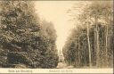 Ansichtskarte - Gruss aus Strausberg - Waldpartie mit Kirche ca. 1910