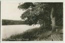 Straussee Promenade - Foto-Ansichtskarte