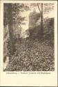 Postkarte - Altlandsberg - Berliner Torturm mit Stadtmauer