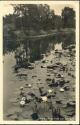 Postkarte - Springsee - Fliess