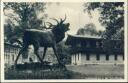 Hubertusstock in der Schorfheide - Postkarte