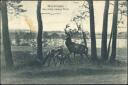 Postkarte - Wandlitzsee - Der dritte heilige Pfuhl
