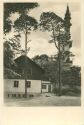 Eberswalde - Jugendherberge Aussichtsturm - Foto-AK