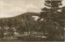 Bad Freienwalde - Blick zum Aussichtsturm - Foto-AK