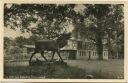 Im Park vom Jagdschloss Hubertusstock - Foto-AK