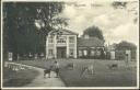 Postkarte - Neustrelitz - Tiergarten