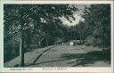 Ansichtskarte - 19322 Wittenberge - Promenade im Stadtpark