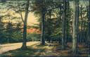 Im Kleckerwald - Postkarte