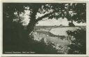 Ostseebad Pelzerhaken - Blick zum Strand - Foto-AK