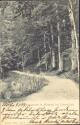 Eckernförde - Waldpartie in Altenhof - Postkarte