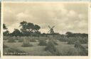 Norgaardholz - Windmühle  - Foto-Ansichtskarte