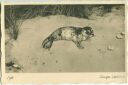 Postkarte - Junger Seehund auf Sylt