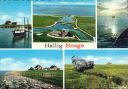 Ansichtskarte - Hallig Hooge