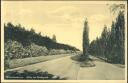 Postkarte - Wilhelmshaven - Allee im Stadtpark