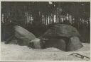 Steinhäuser - Foto 8cm x 11cm 1934