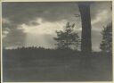 bei Unterlüss - Abend in der Heide - Foto 8cm x 11cm 1934