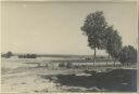 Heideweg bei Schneverdingen - Foto 8cm x 11cm 1934