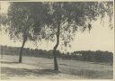 Naturschutzgebiet bei Niederhaverbeck - Foto 8cm x 11cm 1934