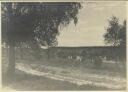 Heideweg nach Wintermoor - Foto 8cm x 11cm 1934