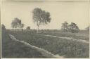 Höpener Heide - Foto 8cm x 11cm 1934