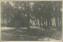 Heidschnuckenstall - Foto 8cm x 11cm 1934