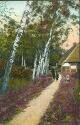 Ansichtskarte - Lüneburger Heide - Idyll in Fachenfelde