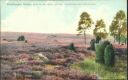 Postkarte - Lüneburger Heide - Blick in die Heide