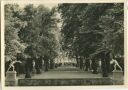 Postkarte - Herrenhausen - Der Grosse Garten