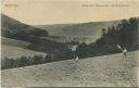 Postkarte - Pyrmont - Blick nach Friedenstal vom Königsberg