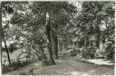 Nienburg - Promenade - Foto-Ansichtskarte