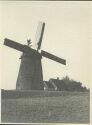 Mühle bei Enger - Foto 8cm x 11cm 1933